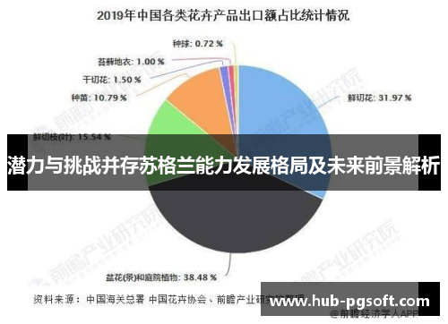 潜力与挑战并存苏格兰能力发展格局及未来前景解析 潜力与挑战并存苏格兰能力发展格局及未来前景解析