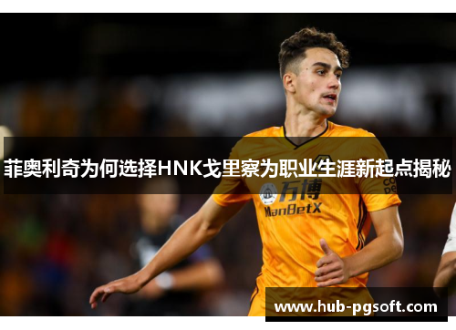 菲奥利奇为何选择HNK戈里察为职业生涯新起点揭秘