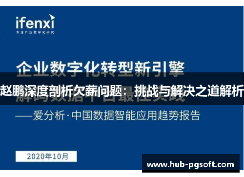 赵鹏深度剖析欠薪问题:挑战与解决之道解析 赵鹏深度剖析欠薪问题:挑战与解决之道解析