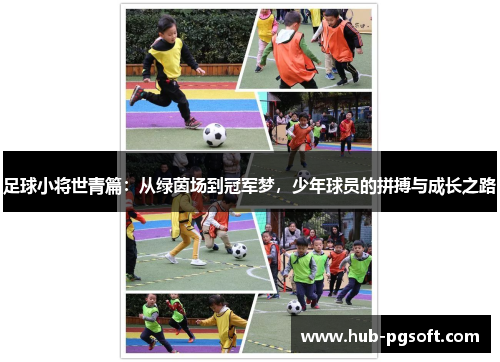 足球小将世青篇:从绿茵场到冠军梦,少年球员的拼搏与成长之路 足球小将世青篇:从绿茵场到冠军梦,少年球员的拼搏与成长之路
