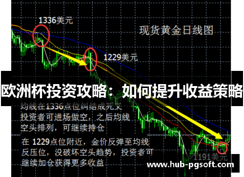 欧洲杯投资攻略：如何提升收益策略