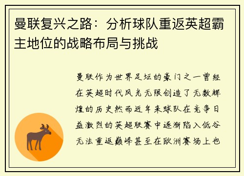 曼联复兴之路：分析球队重返英超霸主地位的战略布局与挑战